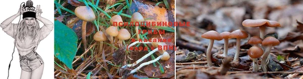 экстази Козельск