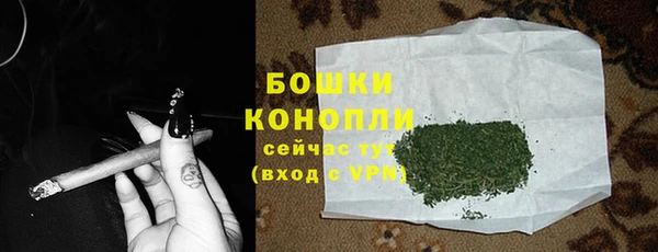молекула духа Кинешма