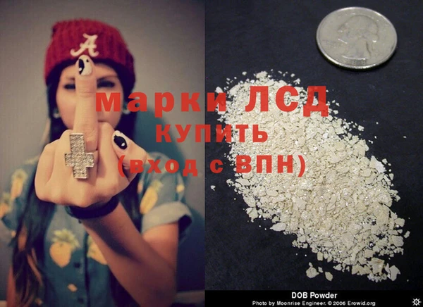 мяу мяу мука Кодинск