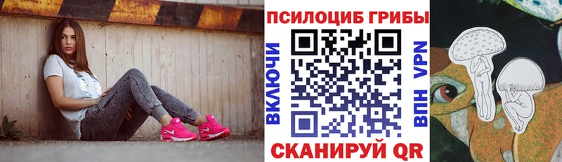 Псилоцибиновые грибы MAGIC MUSHROOMS  цены наркотик  Кяхта 